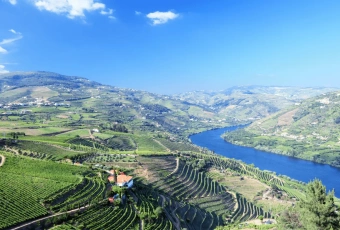 Imagem: Tour Privativo pelo Vale do Douro – 2 Vinícolas, Cruzeiro e Almoço