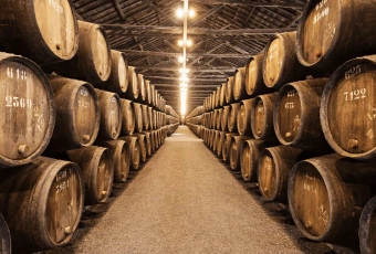 Imagem: Tour Privativo pelo Vale do Douro – 2 Vinícolas, Cruzeiro e Almoço