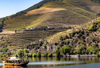Imagem: Tour Privativo pelo Vale do Douro – 2 Vinícolas, Cruzeiro e Almoço
